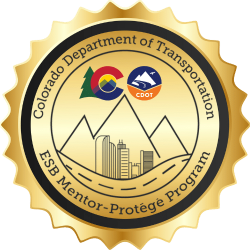 CDOT ESB Mentor Protege (2)
